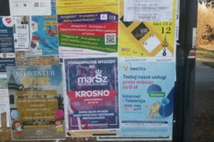 2411_Krosno