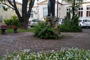 2405_Jasło